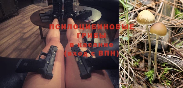индика Беломорск