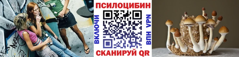Галлюциногенные грибы GOLDEN TEACHER  купить наркотик  Пугачёв 